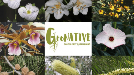 Botanical Bazaar & Gronative