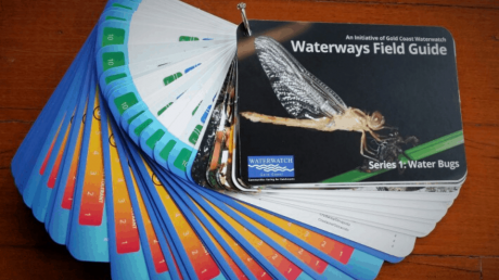 Waterways field guide